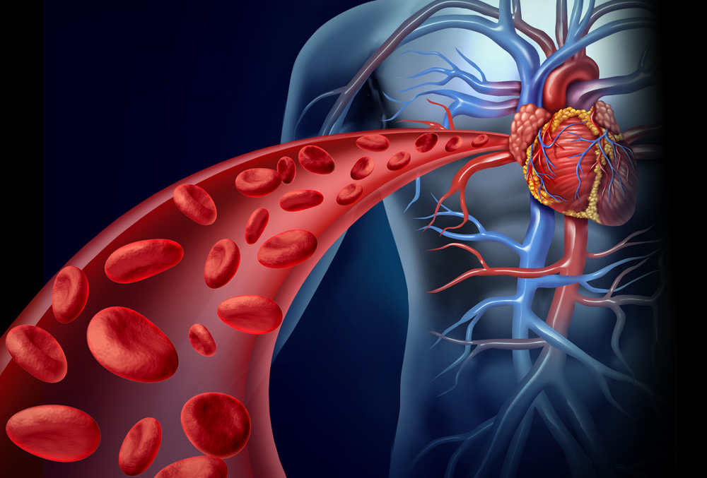 Colesterol alto na doença renal: como prevenir?