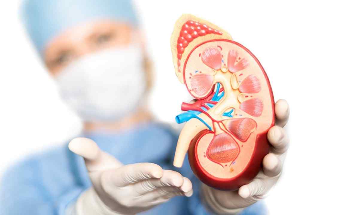  A jornada do paciente renal: do diagnóstico de insuficiência renal à adaptação